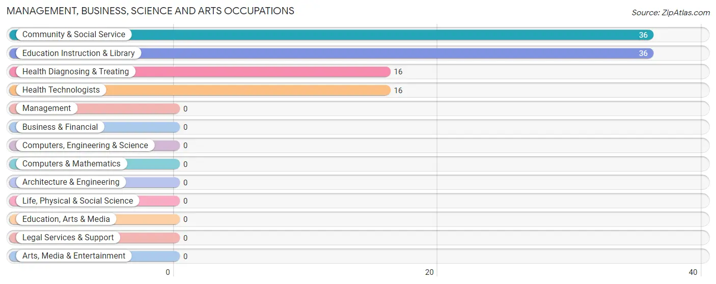 Management, Business, Science and Arts Occupations in Zip Code 41264