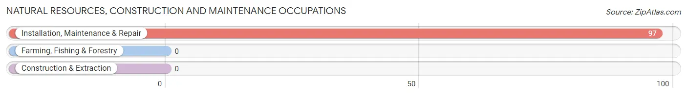 Natural Resources, Construction and Maintenance Occupations in Zip Code 41268