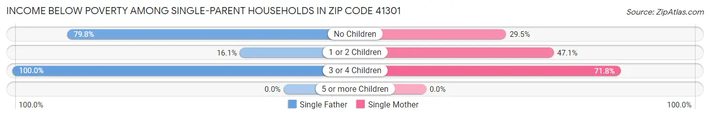 Income Below Poverty Among Single-Parent Households in Zip Code 41301