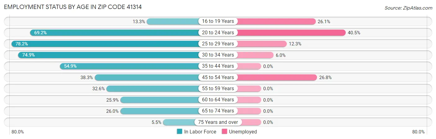 Employment Status by Age in Zip Code 41314
