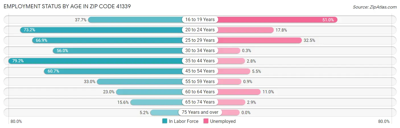 Employment Status by Age in Zip Code 41339