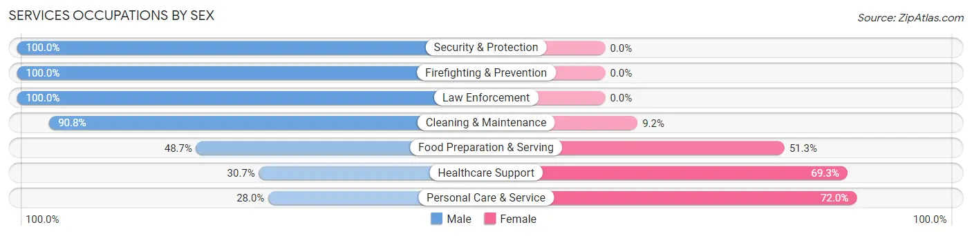 Services Occupations by Sex in Zip Code 41339