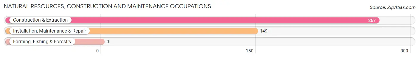 Natural Resources, Construction and Maintenance Occupations in Zip Code 41472