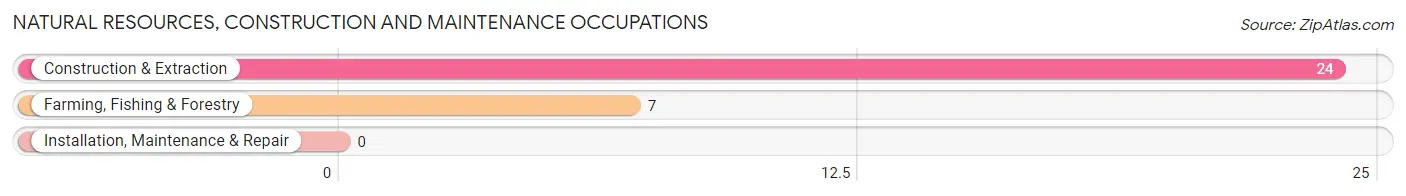 Natural Resources, Construction and Maintenance Occupations in Zip Code 41512