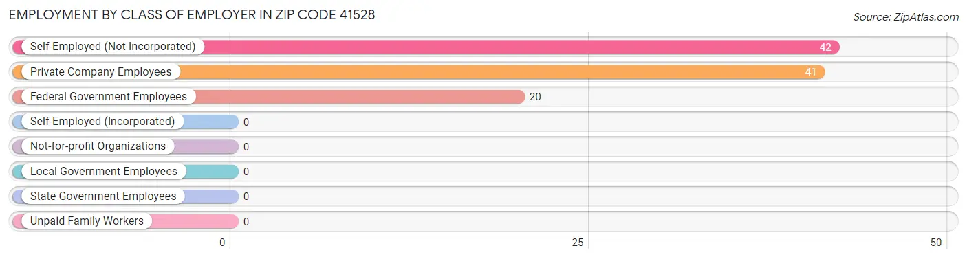 Employment by Class of Employer in Zip Code 41528