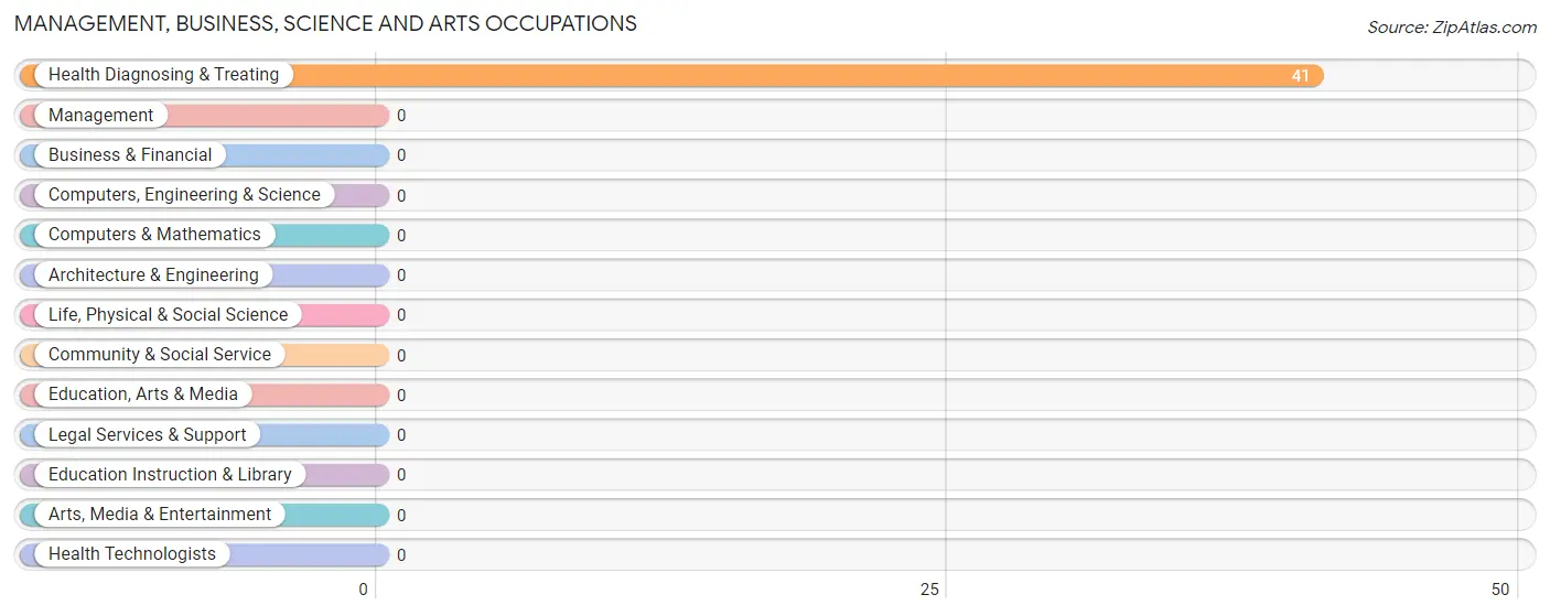 Management, Business, Science and Arts Occupations in Zip Code 41528
