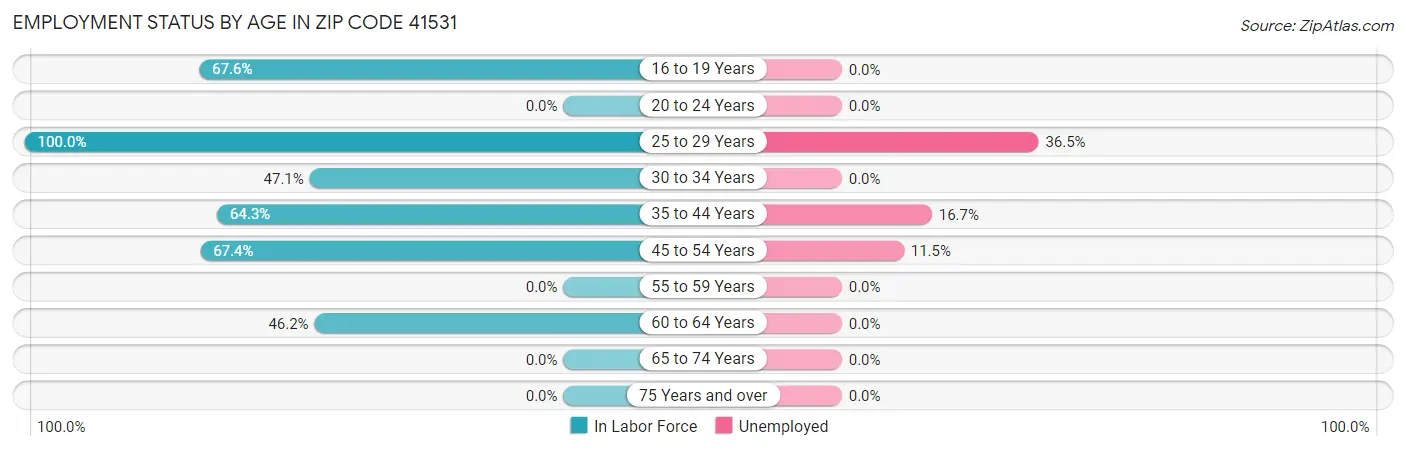 Employment Status by Age in Zip Code 41531