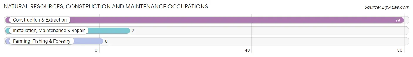 Natural Resources, Construction and Maintenance Occupations in Zip Code 41537
