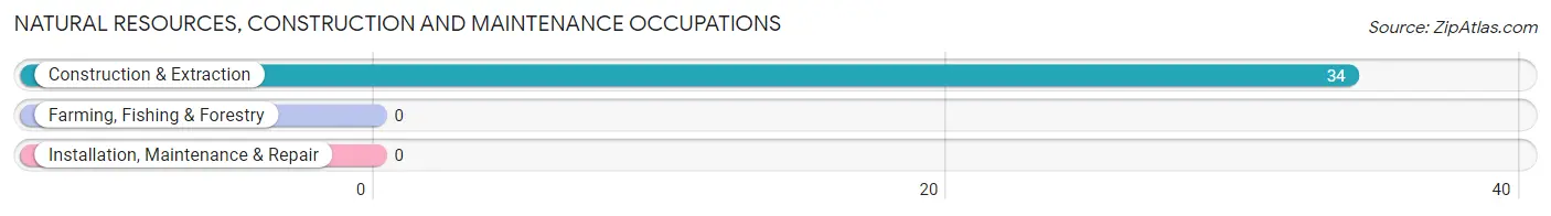 Natural Resources, Construction and Maintenance Occupations in Zip Code 41540