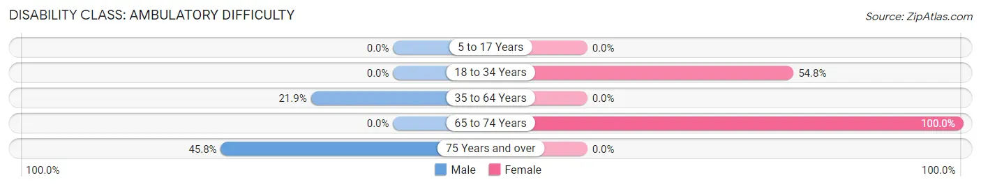 Disability in Zip Code 41560: <span>Ambulatory Difficulty</span>