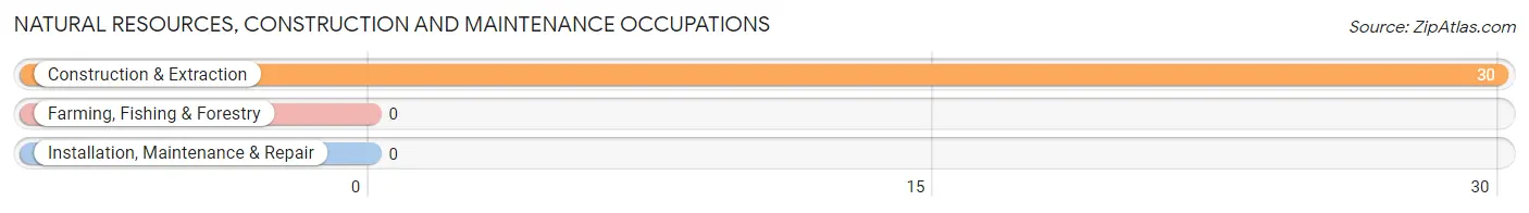 Natural Resources, Construction and Maintenance Occupations in Zip Code 41566