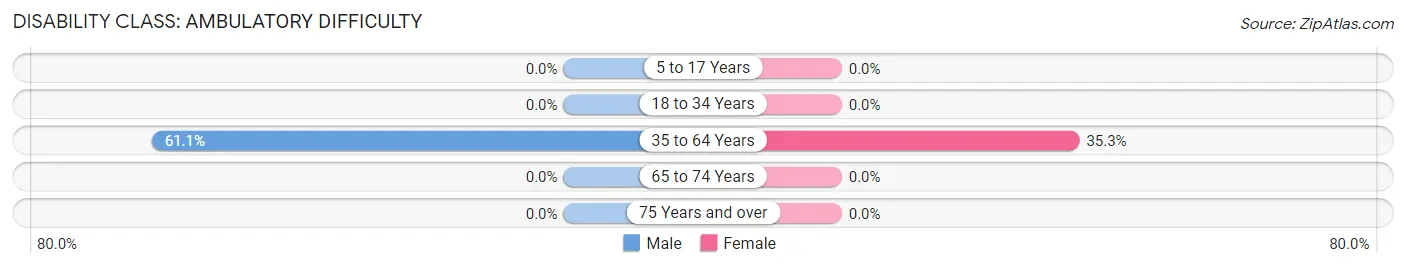 Disability in Zip Code 41567: <span>Ambulatory Difficulty</span>