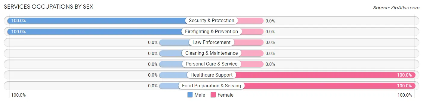 Services Occupations by Sex in Zip Code 41571