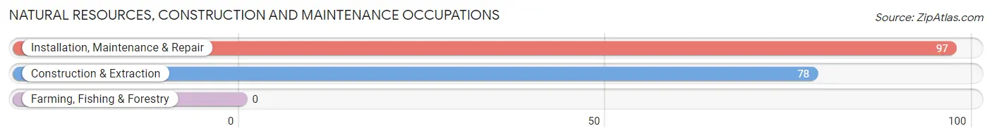 Natural Resources, Construction and Maintenance Occupations in Zip Code 41572