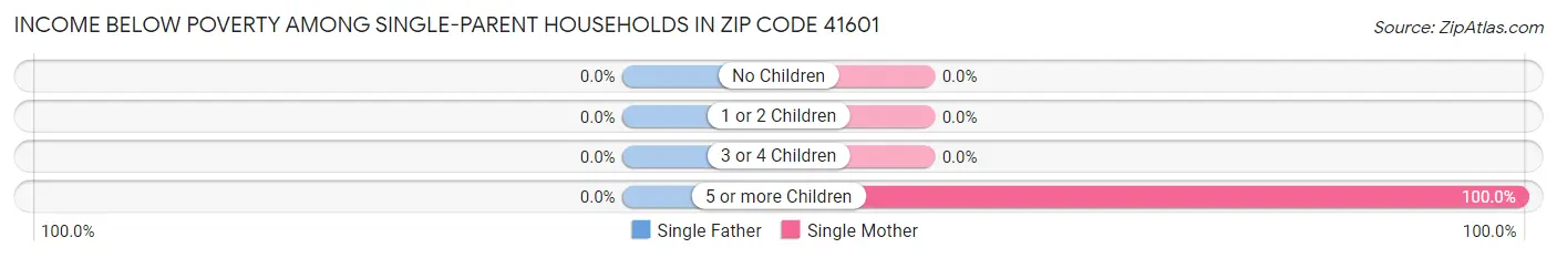 Income Below Poverty Among Single-Parent Households in Zip Code 41601