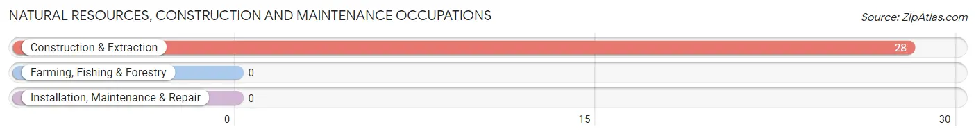Natural Resources, Construction and Maintenance Occupations in Zip Code 41604