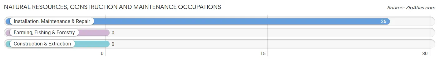 Natural Resources, Construction and Maintenance Occupations in Zip Code 41605