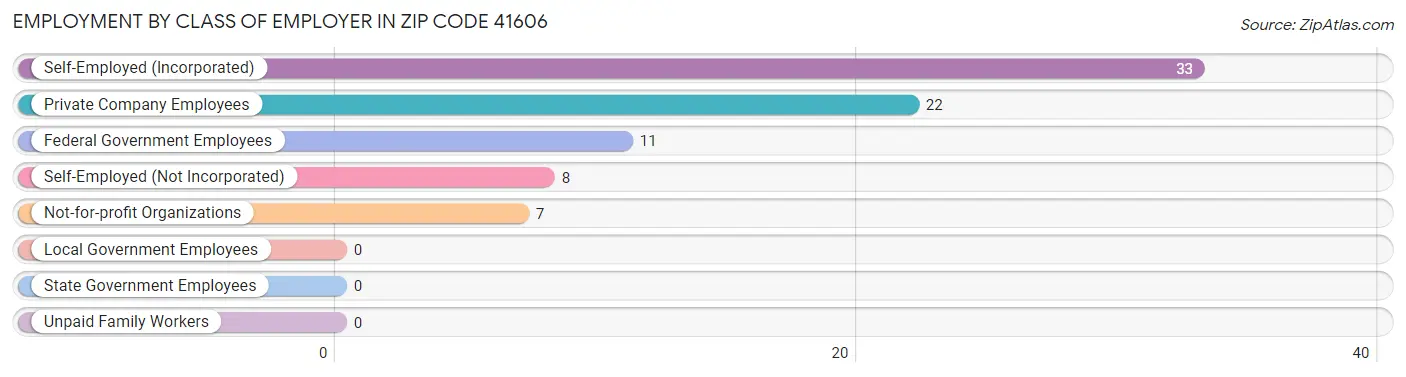 Employment by Class of Employer in Zip Code 41606