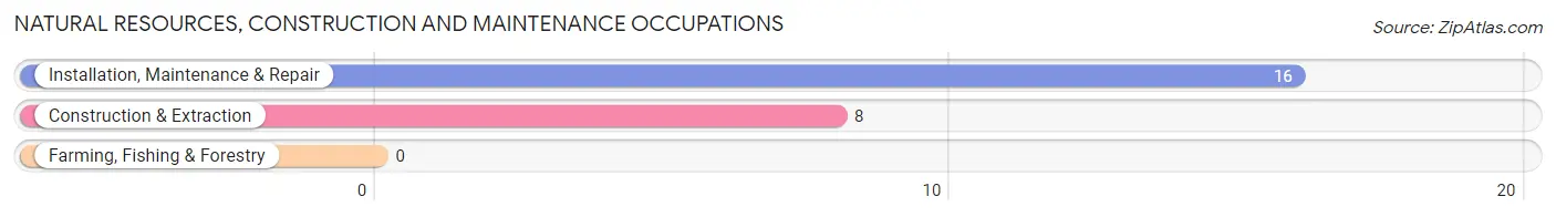 Natural Resources, Construction and Maintenance Occupations in Zip Code 41606