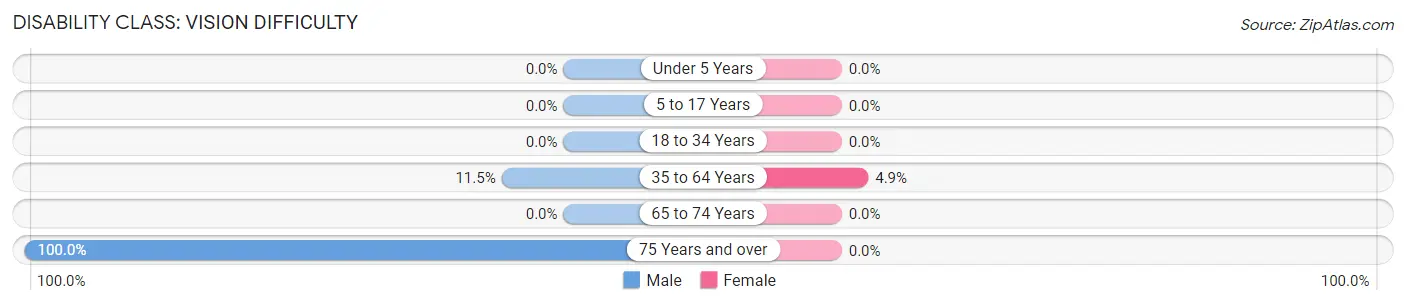 Disability in Zip Code 41606: <span>Vision Difficulty</span>