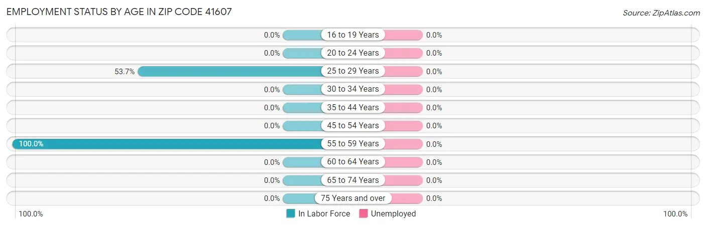 Employment Status by Age in Zip Code 41607