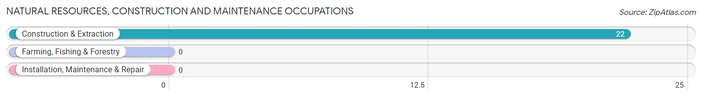 Natural Resources, Construction and Maintenance Occupations in Zip Code 41616