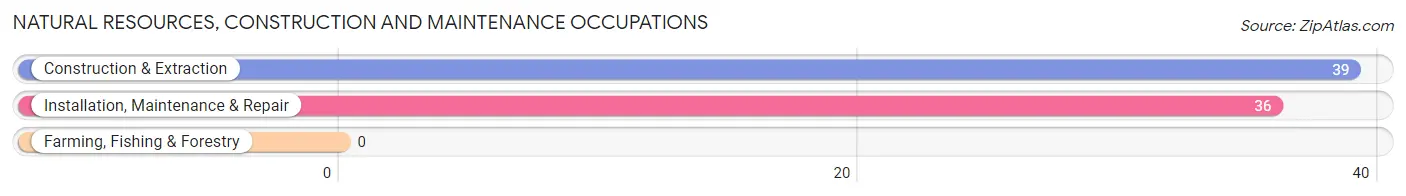 Natural Resources, Construction and Maintenance Occupations in Zip Code 41640