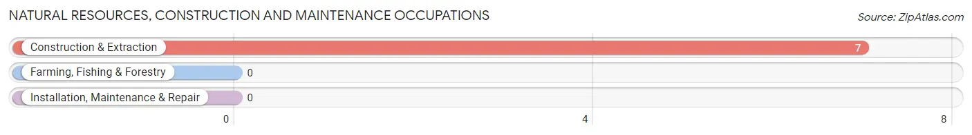 Natural Resources, Construction and Maintenance Occupations in Zip Code 41647