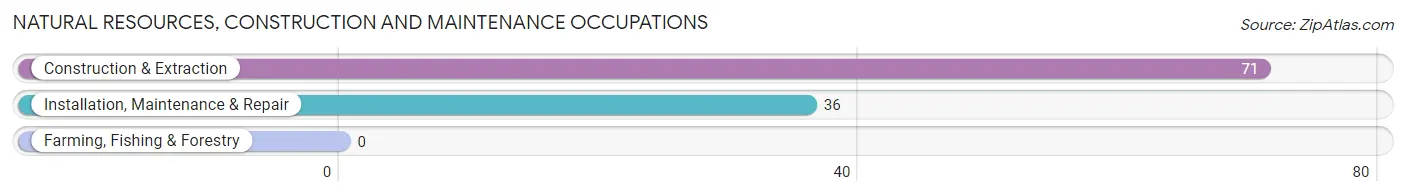 Natural Resources, Construction and Maintenance Occupations in Zip Code 41649