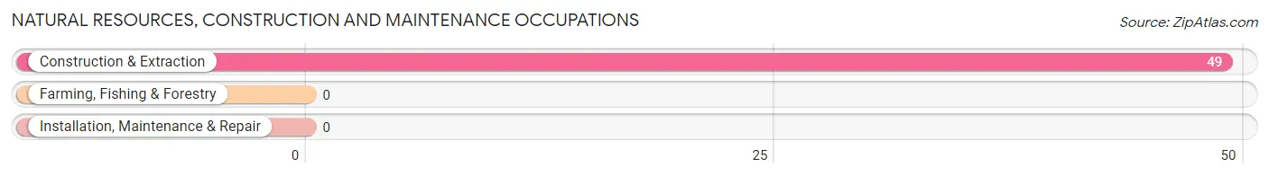 Natural Resources, Construction and Maintenance Occupations in Zip Code 41650