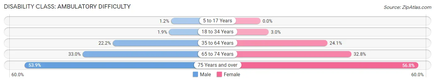 Disability in Zip Code 41653: <span>Ambulatory Difficulty</span>