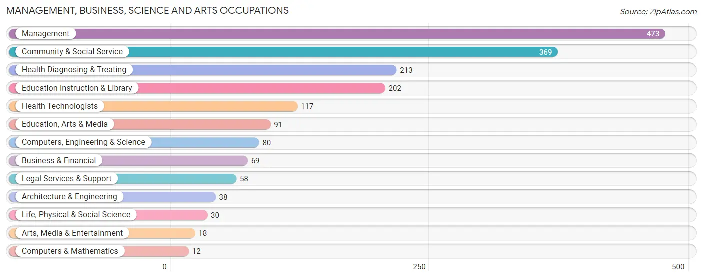 Management, Business, Science and Arts Occupations in Zip Code 41653