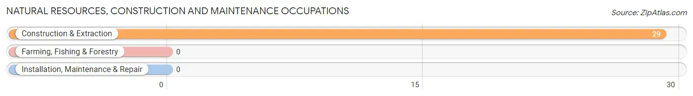 Natural Resources, Construction and Maintenance Occupations in Zip Code 41655
