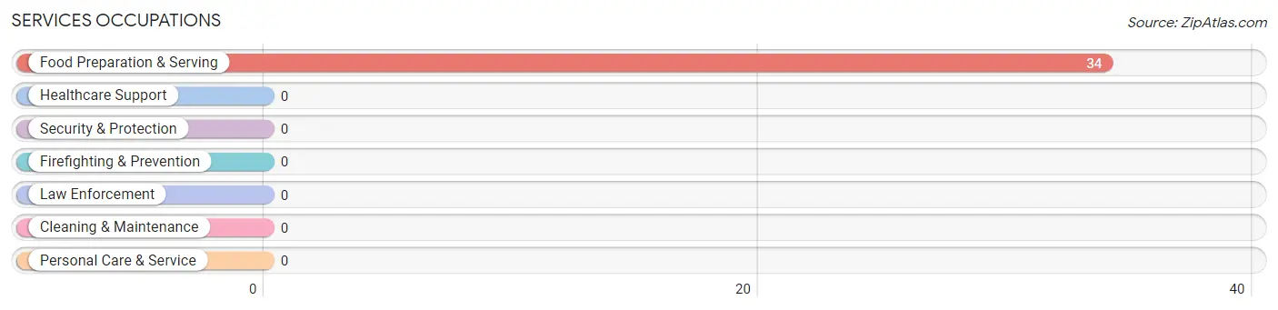 Services Occupations in Zip Code 41663