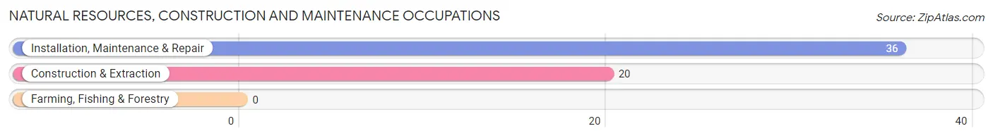 Natural Resources, Construction and Maintenance Occupations in Zip Code 41666