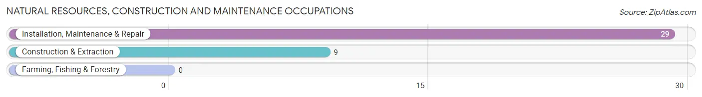 Natural Resources, Construction and Maintenance Occupations in Zip Code 41667