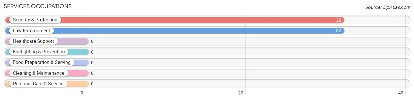 Services Occupations in Zip Code 41667