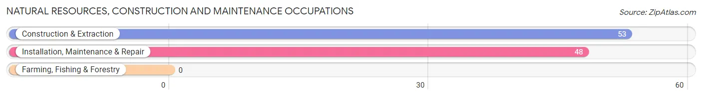 Natural Resources, Construction and Maintenance Occupations in Zip Code 41723