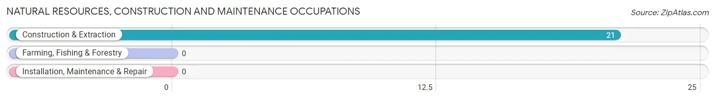 Natural Resources, Construction and Maintenance Occupations in Zip Code 41772