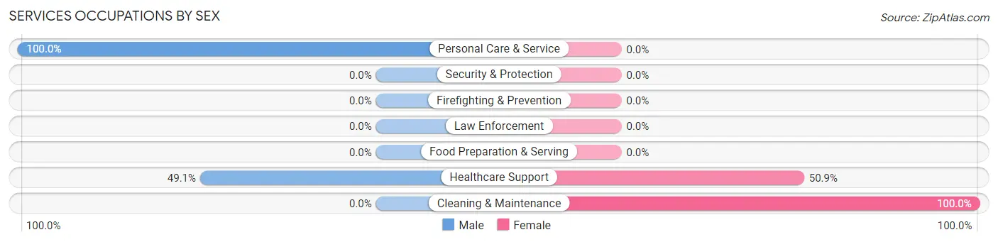 Services Occupations by Sex in Zip Code 41773