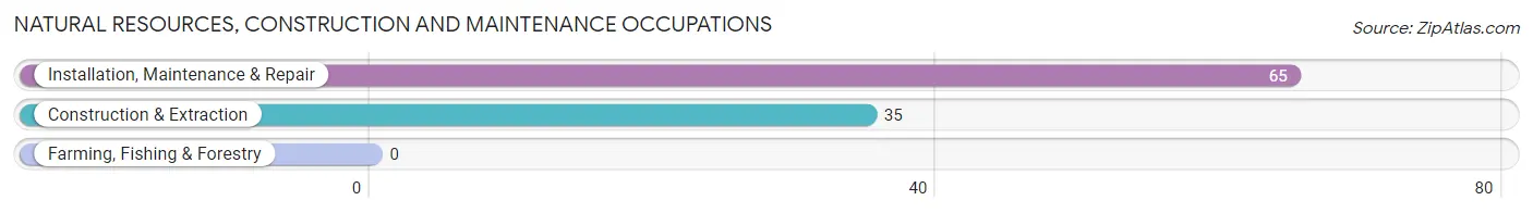 Natural Resources, Construction and Maintenance Occupations in Zip Code 41776