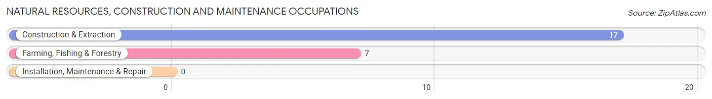 Natural Resources, Construction and Maintenance Occupations in Zip Code 41804