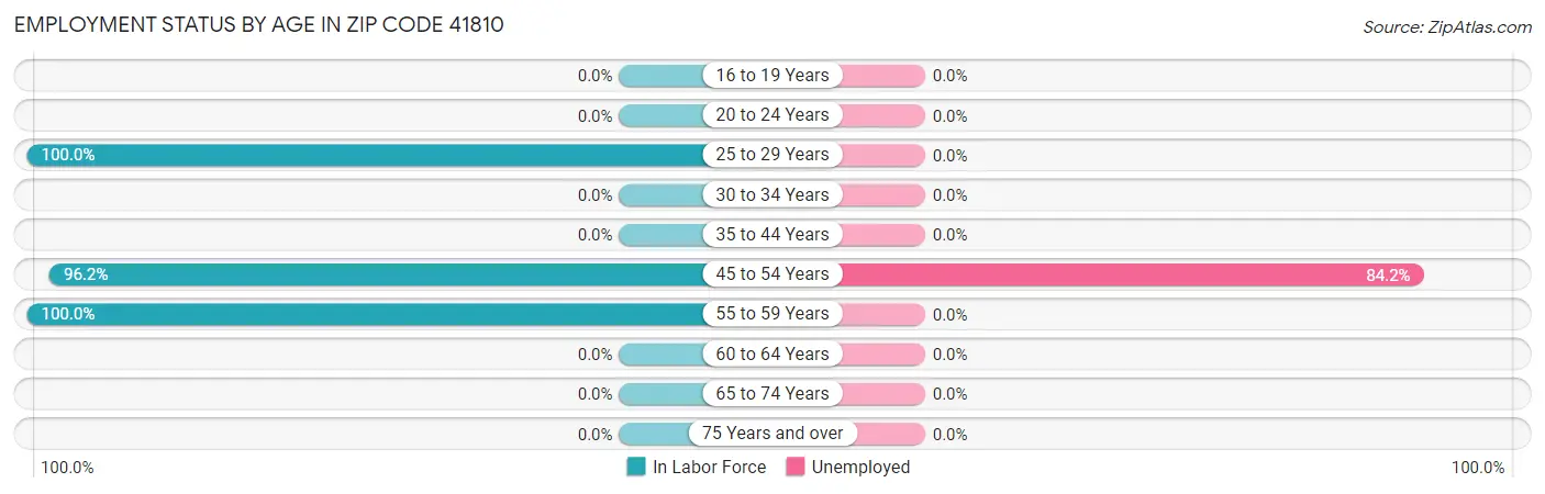 Employment Status by Age in Zip Code 41810