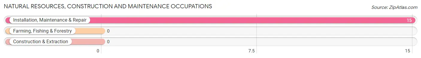 Natural Resources, Construction and Maintenance Occupations in Zip Code 41812