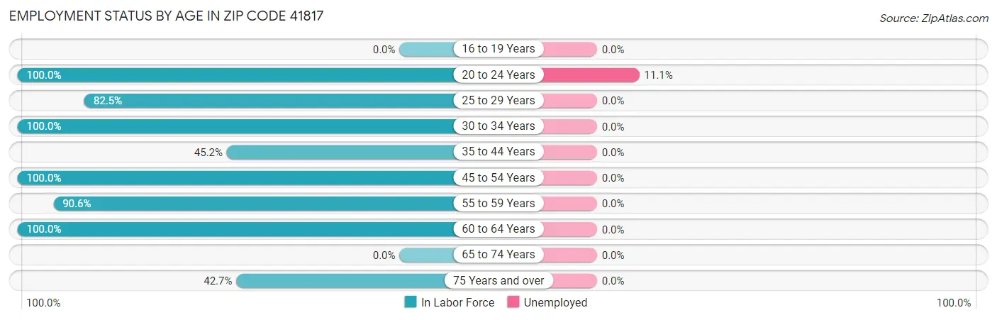 Employment Status by Age in Zip Code 41817