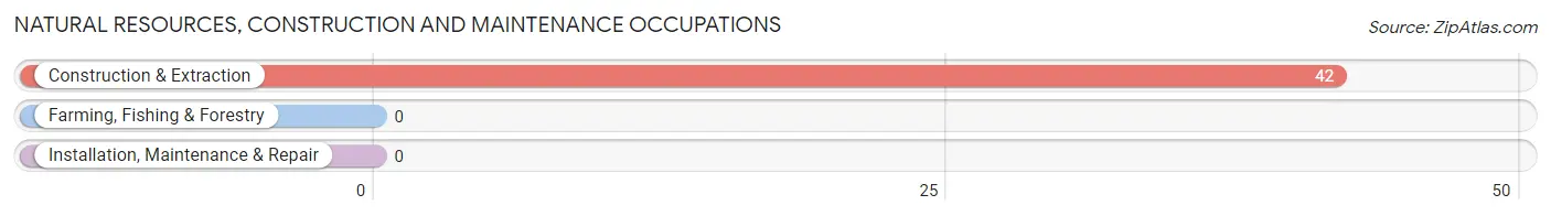Natural Resources, Construction and Maintenance Occupations in Zip Code 41821