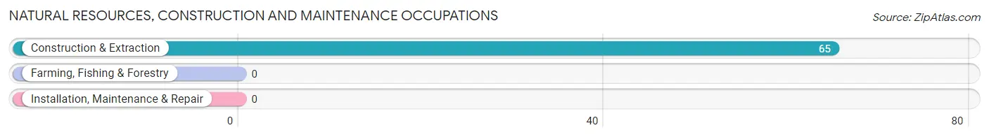 Natural Resources, Construction and Maintenance Occupations in Zip Code 41824