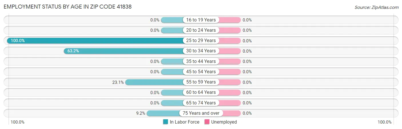 Employment Status by Age in Zip Code 41838