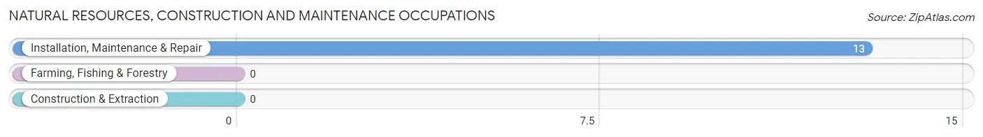 Natural Resources, Construction and Maintenance Occupations in Zip Code 41838
