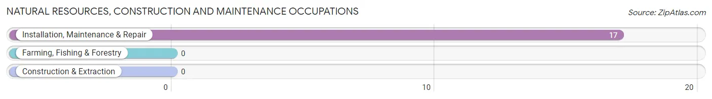 Natural Resources, Construction and Maintenance Occupations in Zip Code 41847